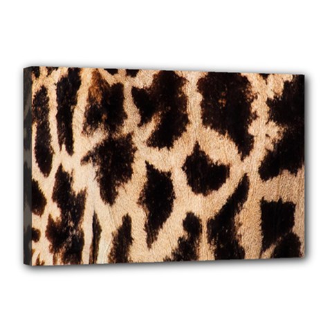 Yellow And Brown Spots On Giraffe Skin Texture Canvas 18  X 12  by Amaryn4rt