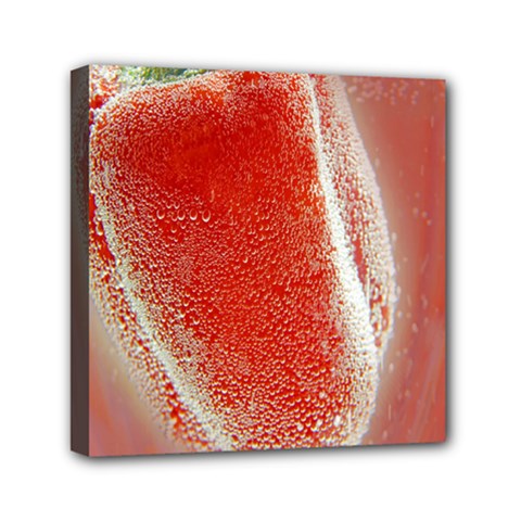 Red Pepper And Bubbles Mini Canvas 6  X 6  by Amaryn4rt