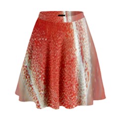 Red Pepper And Bubbles High Waist Skirt