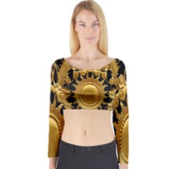 Golden Sun Long Sleeve Crop Top by Amaryn4rt