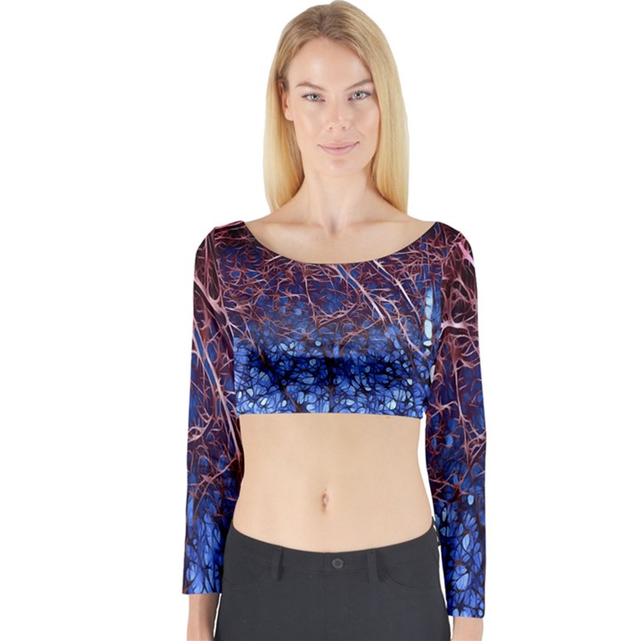 Autumn Fractal Forest Background Long Sleeve Crop Top