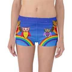 Owls Rainbow Animals Birds Nature Reversible Bikini Bottoms