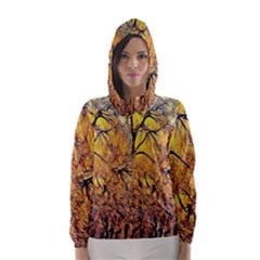 Summer Sun Set Fractal Forest Background Hooded Wind Breaker (women)