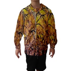 Summer Sun Set Fractal Forest Background Hooded Wind Breaker (kids) by Amaryn4rt