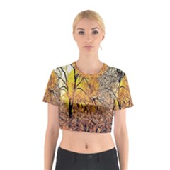 Summer Sun Set Fractal Forest Background Cotton Crop Top by Amaryn4rt