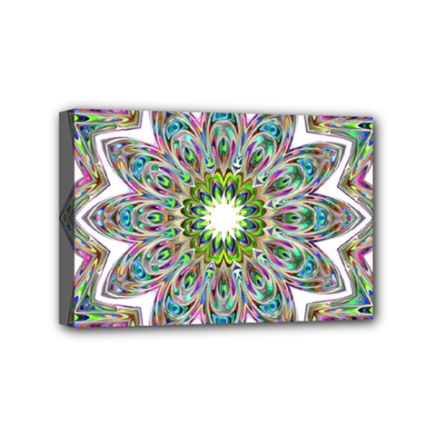 Decorative Ornamental Design Mini Canvas 6  X 4 