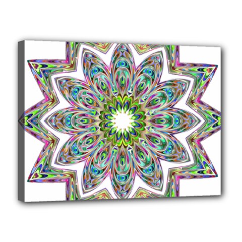 Decorative Ornamental Design Canvas 16  X 12 