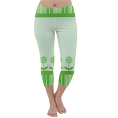 Floral Stripes Card In Green Capri Winter Leggings 