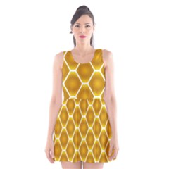 Snake Abstract Background Pattern Scoop Neck Skater Dress