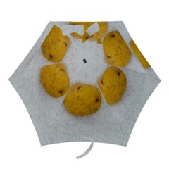 Hintergrund Salzkartoffel Mini Folding Umbrellas by wsfcow