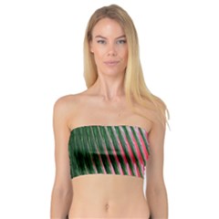 Watermelon Dream Bandeau Top by Simbadda