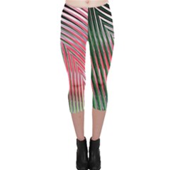 Watermelon Dream Capri Leggings  by Simbadda