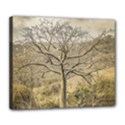 Ceiba Tree At Dry Forest Guayas District   Ecuador Deluxe Canvas 24  x 20   View1