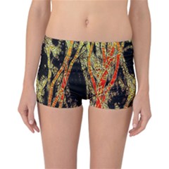 Artistic Effect Fractal Forest Background Reversible Bikini Bottoms