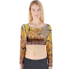 Summer Sun Set Fractal Forest Background Long Sleeve Crop Top by Simbadda