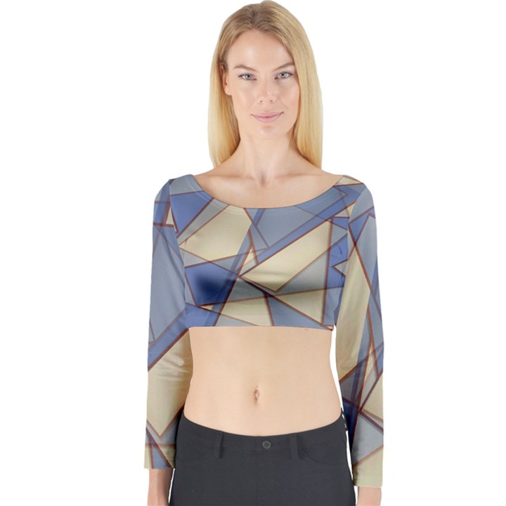 Blue And Tan Triangles Intertwine Together To Create An Abstract Background Long Sleeve Crop Top