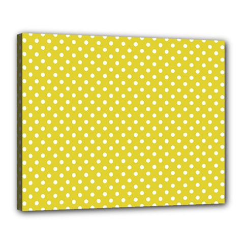 Polka Dots Canvas 20  X 16  by Valentinaart