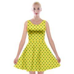 Polka Dots Velvet Skater Dress