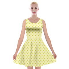 Polka Dots Velvet Skater Dress