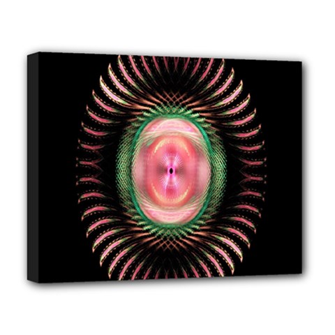 Fractal Plate Like Image In Pink Green And Other Colours Deluxe Canvas 20  X 16  