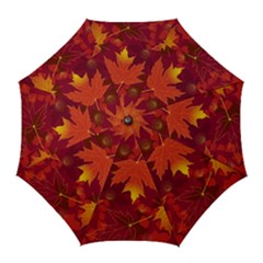 Autumn Leaves Fall Maple Golf Umbrellas by Simbadda