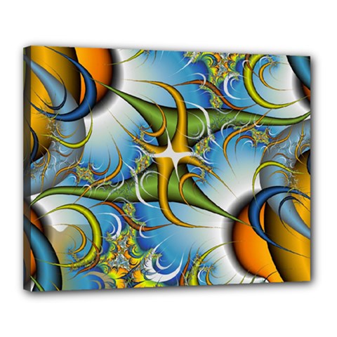 Random Fractal Background Image Canvas 20  x 16 