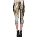 Fall Forest Artistic Background Capri Leggings  View1