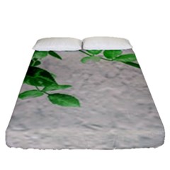 Plants Over Wall Fitted Sheet (queen Size) by dflcprints