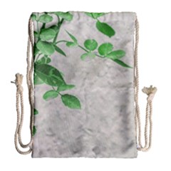 Plants Over Wall Drawstring Bag (large) by dflcprints