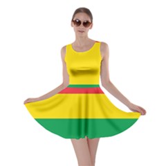 Rasta Colors Red Yellow Gld Green Stripes Pattern Ethiopia Skater Dress by yoursparklingshop