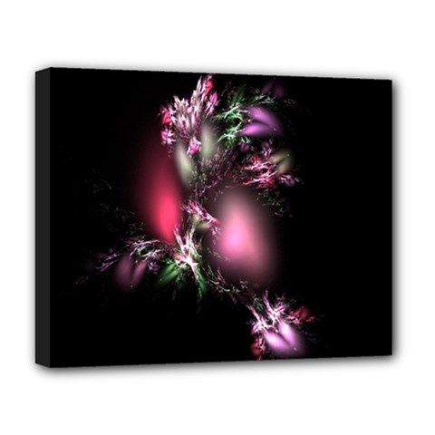 Colour Of Nature Fractal A Nice Fractal Coloured Garden Deluxe Canvas 20  X 16   by Simbadda