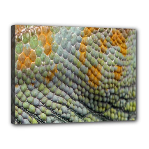 Macro Of Chameleon Skin Texture Background Canvas 16  X 12  by Simbadda