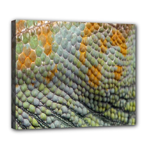 Macro Of Chameleon Skin Texture Background Deluxe Canvas 24  X 20   by Simbadda