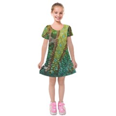 Colorful Chameleon Skin Texture Kids  Short Sleeve Velvet Dress by Simbadda