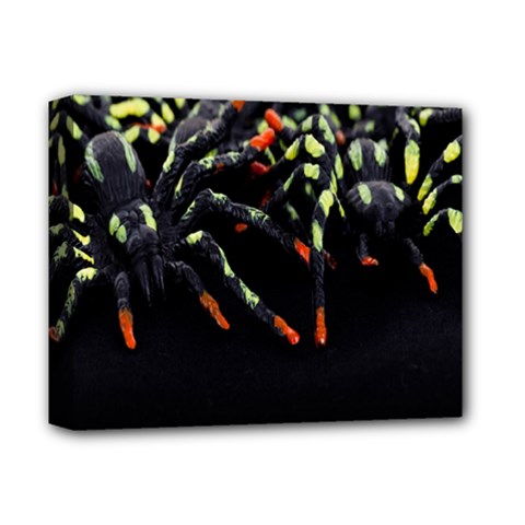 Colorful Spiders For Your Dark Halloween Projects Deluxe Canvas 14  X 11  by Simbadda