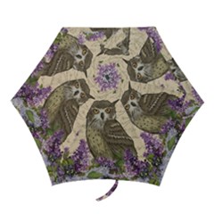 Vintage Owl And Lilac Mini Folding Umbrellas by Valentinaart