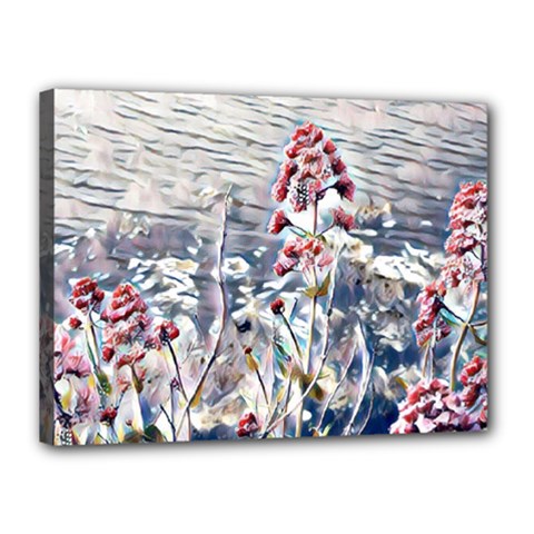 Port Flowers Canvas 16  X 12  by DeneWestUK