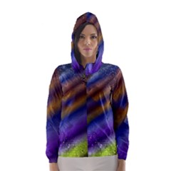 Fractal Color Stripes Hooded Wind Breaker (Women)