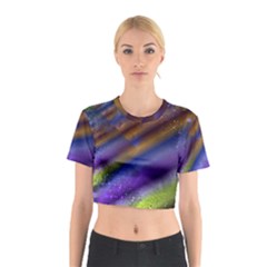 Fractal Color Stripes Cotton Crop Top by Simbadda