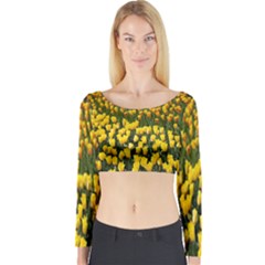 Colorful Tulips In Keukenhof Gardens Wallpaper Long Sleeve Crop Top by Simbadda