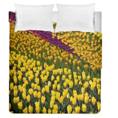 Colorful Tulips In Keukenhof Gardens Wallpaper Duvet Cover Double Side (queen Size) by Simbadda