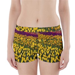 Colorful Tulips In Keukenhof Gardens Wallpaper Boyleg Bikini Wrap Bottoms by Simbadda