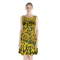 Colorful Tulips In Keukenhof Gardens Wallpaper Sleeveless Chiffon Waist Tie Dress