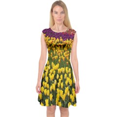 Colorful Tulips In Keukenhof Gardens Wallpaper Capsleeve Midi Dress