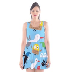 New Zealand Birds Close Fly Animals Scoop Neck Skater Dress by Mariart