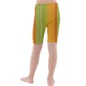 Colorful Citrus Colors Striped Background Wallpaper Kids  Mid Length Swim Shorts View2