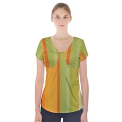 Colorful Citrus Colors Striped Background Wallpaper Short Sleeve Front Detail Top by Simbadda