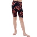 Fractal Chocolate Balls On Black Background Kids  Mid Length Swim Shorts View1