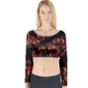 Fractal Chocolate Balls On Black Background Long Sleeve Crop Top View1