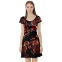 Fractal Chocolate Balls On Black Background Short Sleeve Skater Dress View1